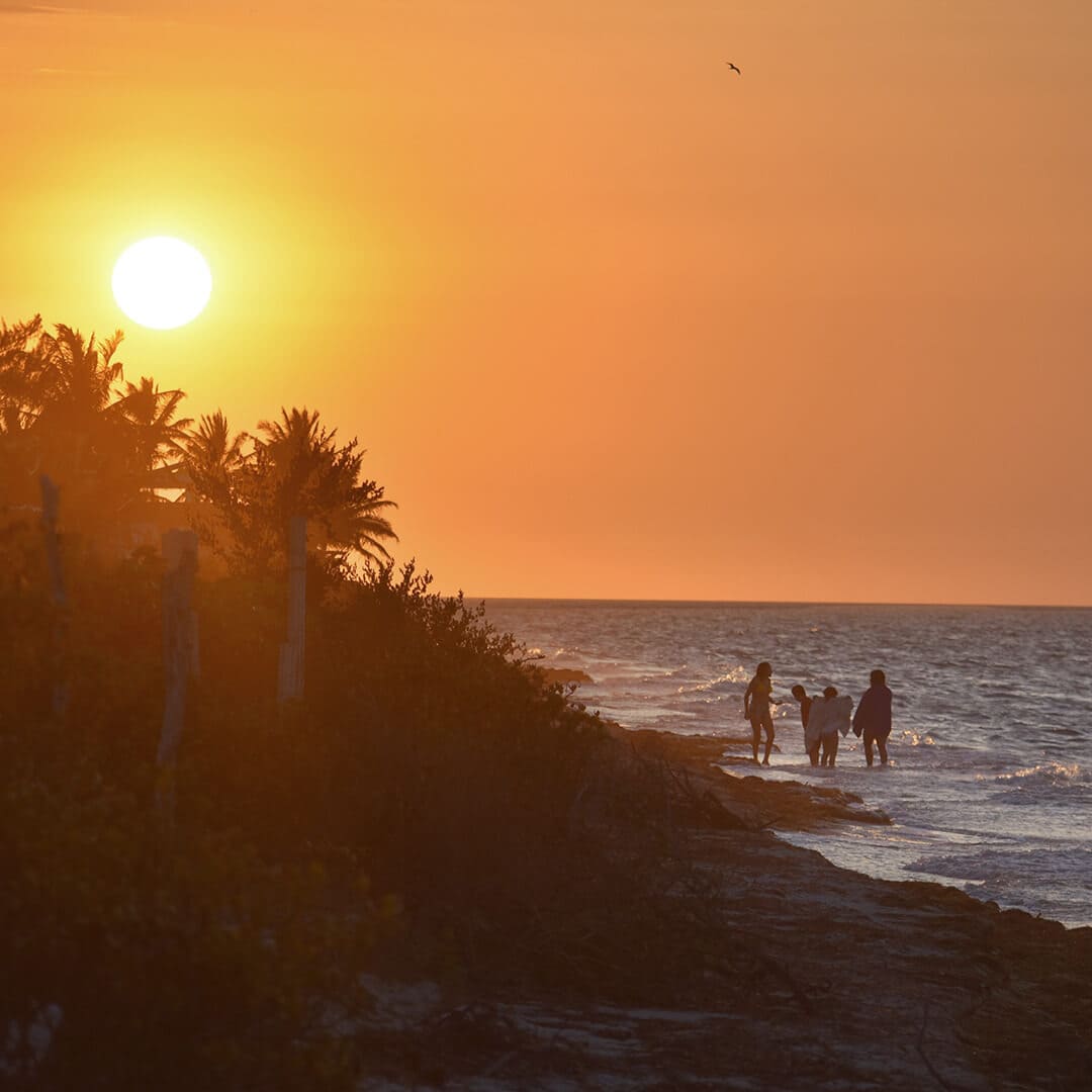 Horizonte con cielo colorido al atardecer